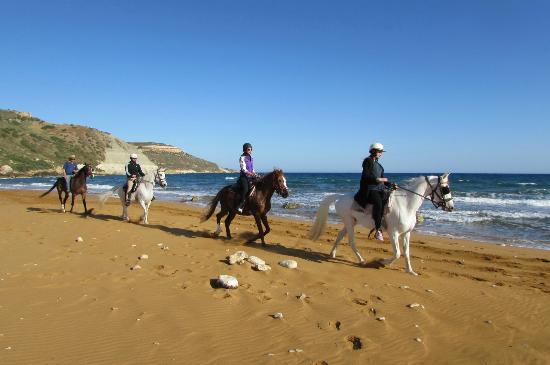 horse riding in Malta